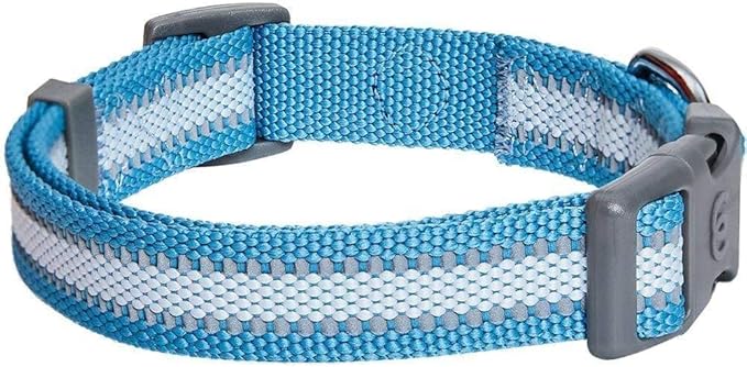 Blueberry Pet Essentials Reflective Dog Collar for Medium Dogs | Adjustable Nylon Collar in Sky Blue | Classic Solid Color Matching Medium Dog Collar