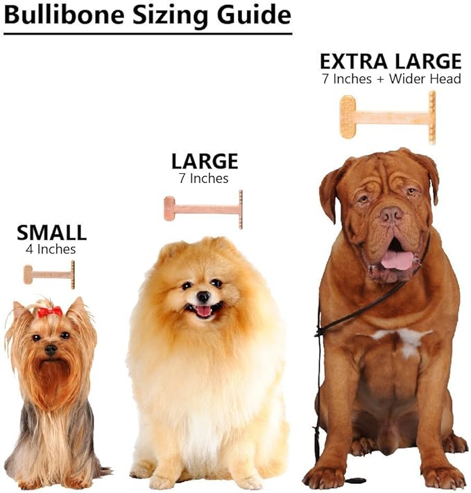 Bullibone Nylon Dog Chew Toy for Aggressive Chewers - Dental Hygiene Bone with Peanut Butter Flavor, Durable Tough Chew Toys for Large Dogs, Indestructible Dog Bone - 3 Pack