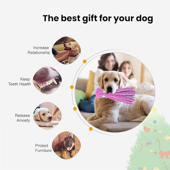 2025 New Upgrade Interactive Chew Pet Toy No Stuffing Bite-Resistant Squeaky Perfect for Puppies, Small and Medium Dogs (2pcs D)