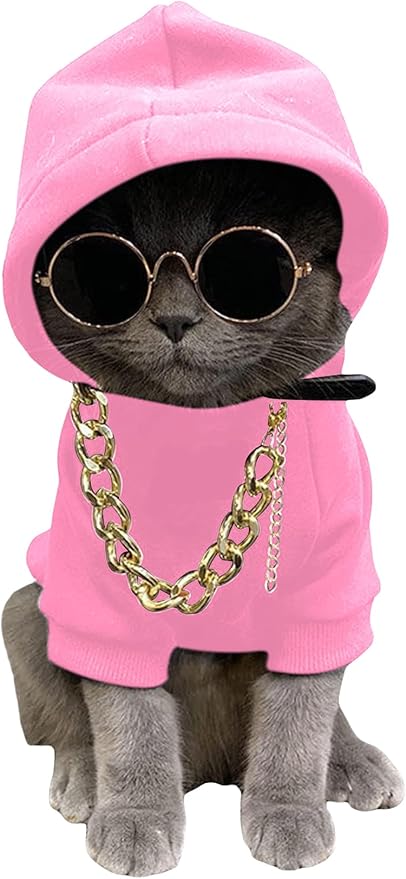 QWINEE 3Pcs Dog Hoodie Cat Apparel Dog Custume Set with Necklace and Sunglasses Pet Clothes for Puppy Small Medium Dogs Cats Light Pink XX-Small