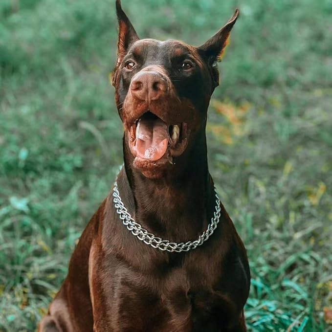 Dog Choke Martingale Collar, Silver Dog Chain Collar Stainless Steel Metal, Silver Dog Collar Adjustable Walking Chew Proof Double Row for Large Small Medium Dogs XL 26'' -28''