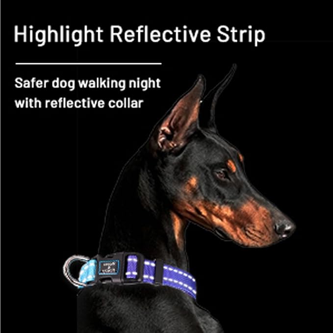Roses&Poetry Reflective Dog Collar with Gradient Violet, Adjustable Durable Pet Collars for Small Medium Large Dogs (Violet-S)