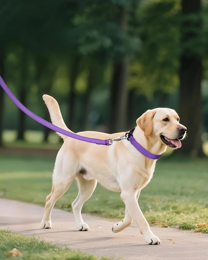 Joytale Large Dog Collar, Reflective and Adjustable Nylon Pet Collar with Quick-Release Buckle for Extra Large Dogs, Purple, XL