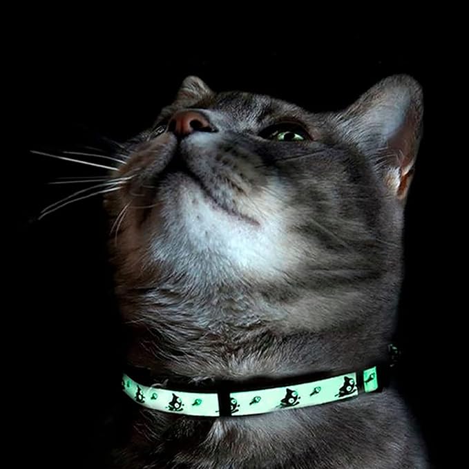 Pawtitas Halloween Cat Collars for Cats Adjustable Collar Glow in The Dark Feature and Safety Breakaway Buckle and Removable Bell to Match Your Halloween Cat's Costume - Pink Skulls Pattern