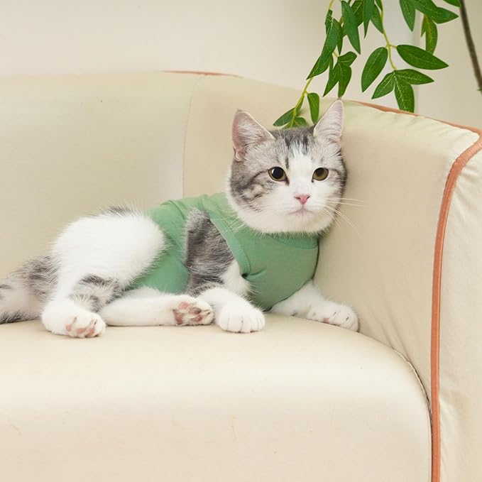 Cat Recovery Suit Cat Onesie for Cats After Surgery Female Male Spay Kitten Neuter Surgical Bodysuit Post Surgery Cone of Shame Alternative Anti Licking (Green, Large)