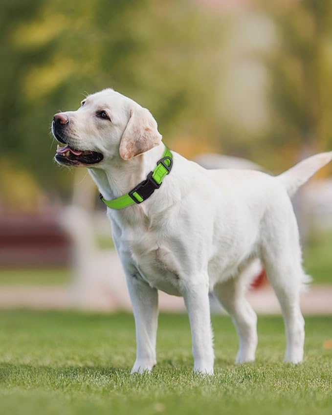 Joytale Large Dog Collar, Reflective and Adjustable Nylon Pet Collar with Quick-Release Buckle for Large Dogs, Green, L