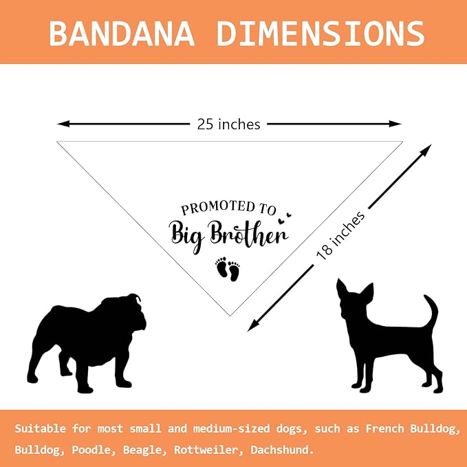 Promoted to Big Brother Pregnancy Announcement Dog Bandana Baby Announcement Photo Props Dog Scarf Accessories Big Brother Bandana for Dogs