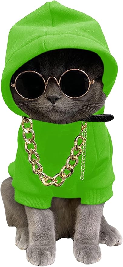 QWINEE 3Pcs Dog Hoodie Cat Apparel Dog Custume Set with Necklace and Sunglasses Pet Clothes for Puppy Small Medium Dogs Cats Green X-Small
