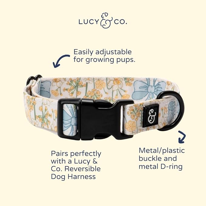 Lucy & Co. Sunshine and Daffodils Dog Collar, Adjustable Durable Dog Collar with Cute Print, Large