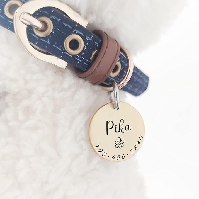 Cats Dogs ID Tags Personalized Lovely Symbols Pets Collar Name Accessories Simple Custom Engraved Products for Extra Small Four Legged Child Necklace Chain Anti-Lost Industrial Steel Charm