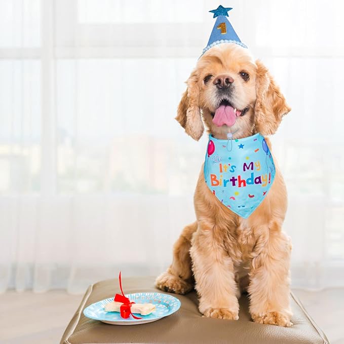 Dog Birthday Party Supplies, Dog Birthday Bandana Set, Dog Boy Girl Birthday Party Hat with Numbers for Large Medium Small Dogs Pet (Blue)