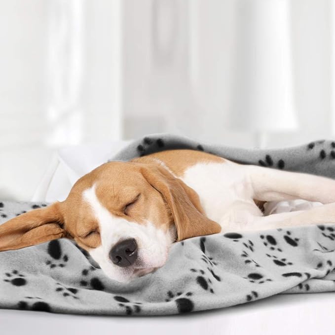 Comsmart Dog Blankets for Small Dogs, 6 Pack Puppy Blanket Cute Paw Print Pet Blanket for Dog, Puppy, Cat, Kitten, 39x31 inches, Grey