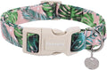 DOGWONG Cotton Dog Collar, Heavy-Duty Dog Collar Durable Soft Boy Dog Collar Cute Wedding Puppy Necklace for Small Medium Large Dog