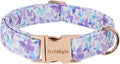 Elegant Butterfly Dog Collar, Purple Blue Gradient Design Collars for Dogs, Adjustable Comfortable for Small Medium Large Dogs, Handmade Cotton Puppy Collar for Daily Walks 、Park Adventures-S