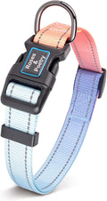 Roses&Poetry Reflective Dog Collar with Gradient Azure, Adjustable Durable Pet Collars for Small Medium Large Dogs (Azure-L)