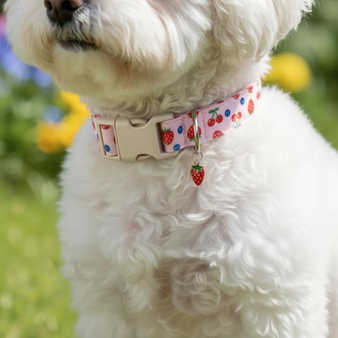 Small Dog Collar, Cute Dog Collar for Puppy, Extra Small & Small Dogs, Strawberry Blueberry Collar for Girl Female Dogs, XS