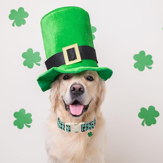 St Patricks Day Dog Collar for Large Dogs - Green Lucky Shamrock Boy Dog Collars, Irish Clover Pattern Black Male Puppy Collar with Quick Release Buckle L