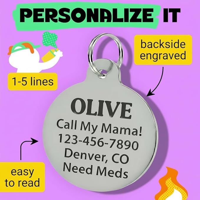 Bad Tags Personalized Dog and Cat ID Tags in 25+ Designs and 2 Sizes - 5 Lines of Custom Engraved Text - Funny Cute Personalized Pet Tags (I'm The Reason We Can't Have Nice Things, Small (1 inch))