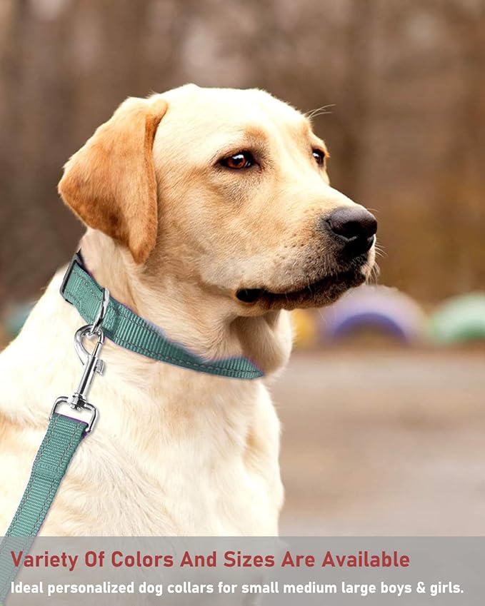 Reflective Dog Collar with Buckle Adjustable Safety Nylon Collars for Small Medium Large Dogs, Grey XL