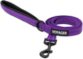 Best Pet Supplies Voyager Reflective Dog Leash or Collar with Neoprene Handle, for Small, Medium, and Large Breed Puppies, Cute and Heavy Duty for Walking, Running and Training - Purple (Leash), L