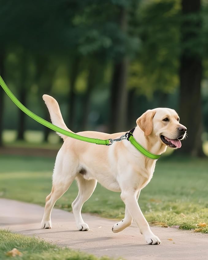 Joytale Large Dog Collar, Reflective and Adjustable Nylon Pet Collar with Quick-Release Buckle for Extra Large Dogs, Green, XL