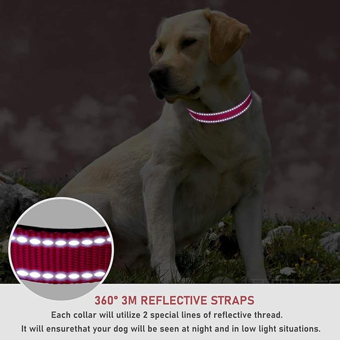 Reflective Dog Collar with Buckle Adjustable Safety Nylon Collars for Small Medium Large Dogs, Red S