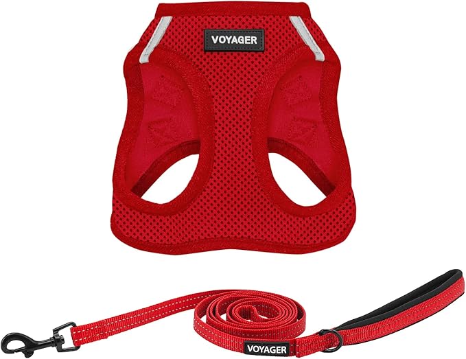 Best Pet Supplies Voyager Step-in Air All Weather Mesh Harness and Reflective Dog 5 ft Leash Combo with Neoprene Handle, for Small, Medium and Large Breed Puppies - Harness Leash Set (Red), XS