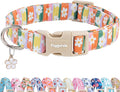 Faygarsle Colorful Floral Dog Collar, Cotton Fabric with Daisy Pattern, Multi-Color Stripes Spring Summer Design for Small Medium Large Dogs M