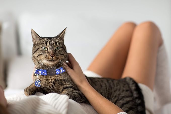 2Pcs Breakaway Cats Collars Cat Collars for Boy & Girl Cats Adjustable Kitten Collars with Bell,Black+Blue,8"-13.1"