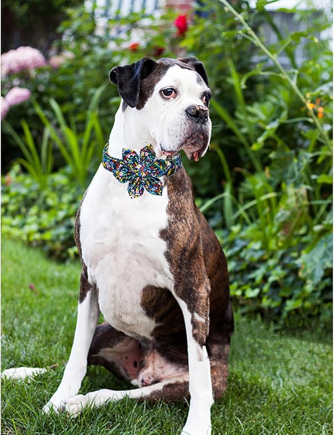 Lionheart Glory Floral Dog Bow Collar - Dark Blue, Adjustable, Durable for Small Dogs