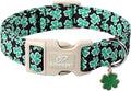 St Patricks Day Dog Collar for Small Dogs - Green Lucky Shamrock Boy Dog Collars, Irish Clover Pattern Black Male Puppy Collar with Quick Release Buckle XS