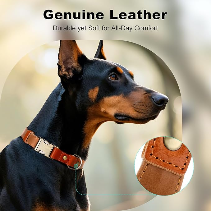 Plutus Pet Genuine Leather & Hemp Dog Collar – Adjustable Heavy Duty Pet Collar with Quick Release Metal Buckle, Soft & Stylish for Puppy and Small, Medium, Large Dogs (Light Brown, L)