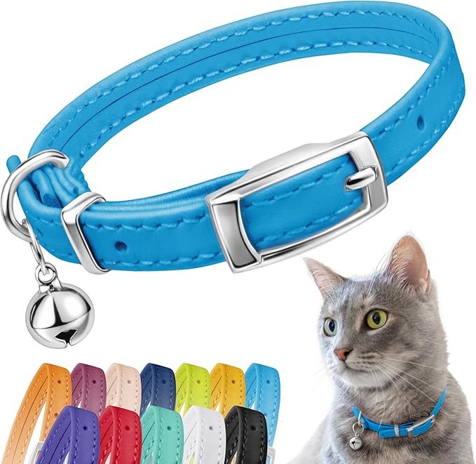 CollarDirect Leather Cat Collar, Kitten Collar with Removable Bell Black Blue Red Orange Lime Green (8-11 Inch, Light Blue)