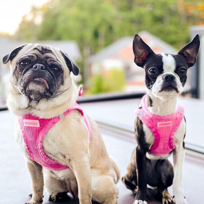 Best Pet Supplies - All Weather Plush, Reflective, No Pull Harness for Small, Medium Dogs, Cats - Secure with Hook & Loop Fastener, Buckle, Double D-Rings - Fuchsia Corduroy, L