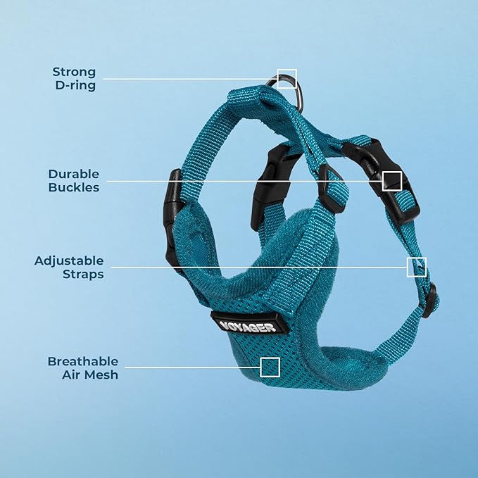 Voyager Step-in Pet Harness - All Weather Mesh, Adjustable Step in Harness for Cats and Dogs by Best Pet Supplies - Turquoise, S