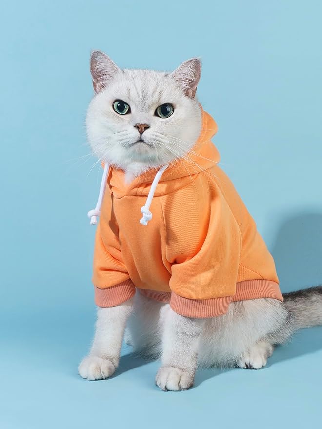QWINEE Basic Dog Hoodie Sweatshirt Puppy Sweater Warm Cat Costumes Pet Clothes for Chihuahua Puppy Kitten Small Medium Dogs Orange X-Small