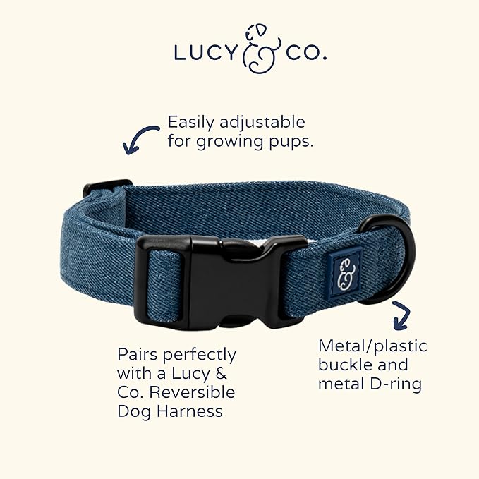 Lucy & Co. Dog Collar - Durable Lightweight Designer Collar for Pets - Adjustable Metal Safety Buckel. - Blue Denim - Medium