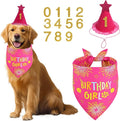 Dog Birthday Party Supplies, Rose Pink Dog Birthday Set with Hat Bandana Numbers for XLarge Large Girl Pets Puppy