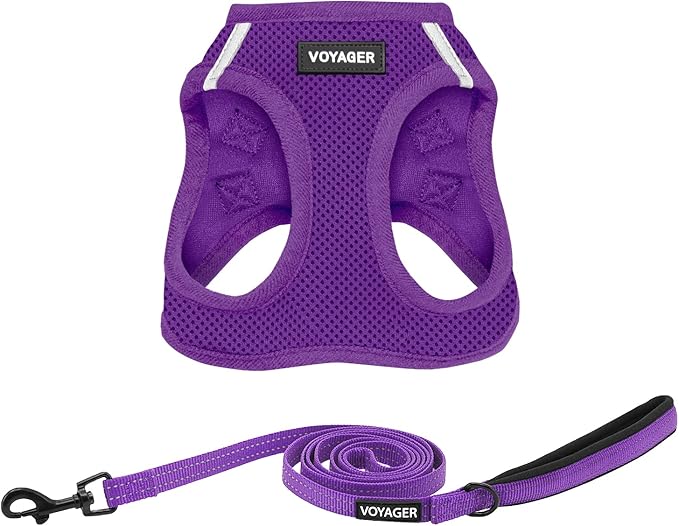 Best Pet Supplies Voyager Step-in Air All Weather Mesh Harness and Reflective Dog 5 ft Leash Combo with Neoprene Handle, for Small, Medium and Large Breed Puppies - Harness Leash Set (Purple), XXS