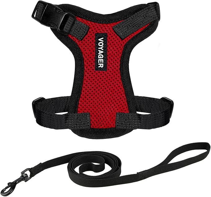 Voyager Escape-Proof Step-in Lock Cat Harness & 5ft Neoprene-Handle Leash Set All-Weather Mesh with Reflective Stitching for Small to Large Cats by Best Pet Supplies, Red/Black Trim, XXS