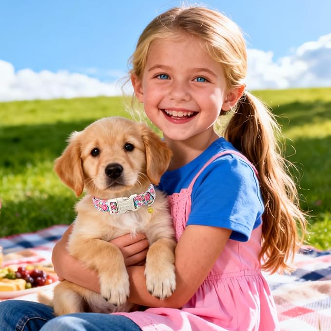 DOGWONG Spring Flower Dog Collar-Cute Floral Daisy Dog Collar, Adjustable Soft Girl Female Dog Collar for Small Medium Large Dogs, XL