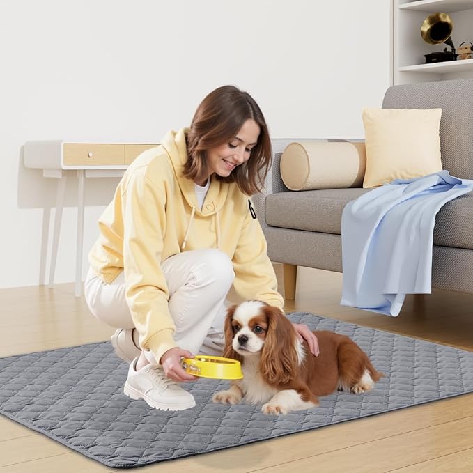 Smiry Waterproof Dog Bed Cover Blanket, Soft Reversible Pet Blanket, Washable Leakproof Cats Dogs Couch Cover for Sofa, Couch, Furniture (30x53 Inch, Grey/Light Grey)