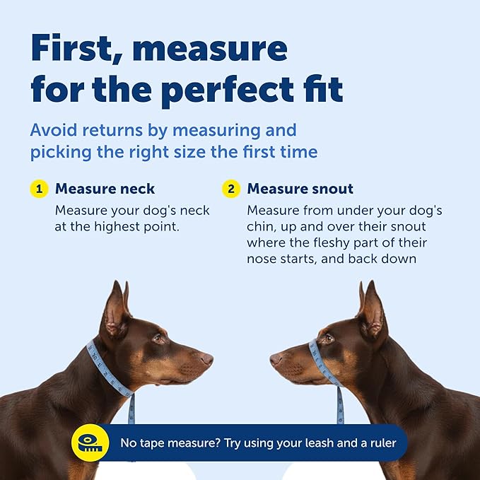 PetSafe Gentle Leader Headcollar No-Pull Dog Collar - Helps Improve Walks - Durable Nylon Construction - Padded Nose Loop - Adjustable Fit - Comfort Walking Halter - Petite, Black