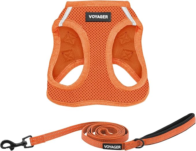 Best Pet Supplies Voyager Step-in Air All Weather Mesh Harness and Reflective Dog 5 ft Leash Combo with Neoprene Handle, for Small, Medium and Large Breed Puppies - Harness Leash Set (Orange), XS