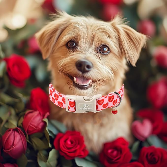 Valentines Dog Collar for Large Dogs - Valentine Red Conversation Hearts Dog Collars, Love Boy Girl Dogs Collars, Lightweight Adjustable Cute Puppy Collar with Quick-Release Buckle L