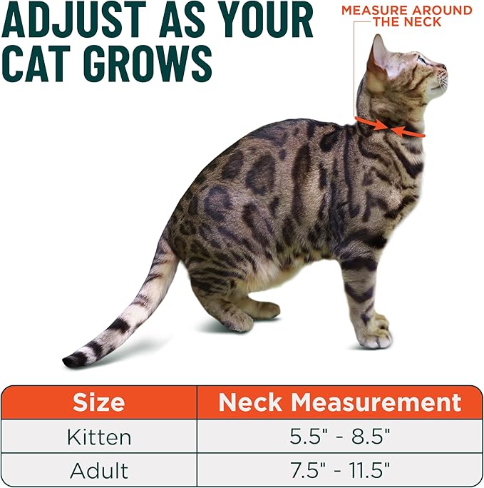 OutdoorBengal Red Cat Collar Breakaway with Soft Padding for Medium to Large Cats - Durable Heavy Duty Tactical Fabric, Comfortable, Quick Release Breakaway Cat Collars, No Bell Collar (Red, Adult)
