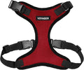 Voyager Step-in Pet Harness - All Weather Mesh, Adjustable Step in Harness for Cats and Dogs by Best Pet Supplies - Red/Black Trim, L