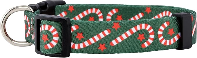 Native Pup Christmas Dog Collar- Winter Holiday Collars for Pets- Xmas Gift for Puppy- Santa, Reindeer, Snowman, Candy Cane, Red Green- Girl Boy- Small, Medium, Large Breeds (Candy Cane, Large)