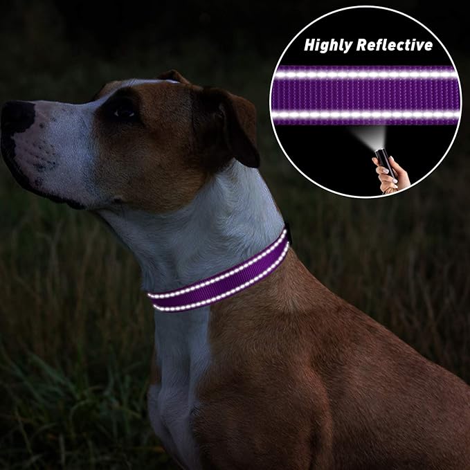 TagME Reflective Nylon Dog Collars, Adjustable Classic Pet Collar with Quick Release Buckle for Small Dogs, 3/4" Width Purple