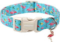 DOGWONG Spring Summer Dog Collar-Cute Flamingo Dog Collar, Adjustable Soft Beach Hawaiian Dogs Collars for Large Dogs, XL
